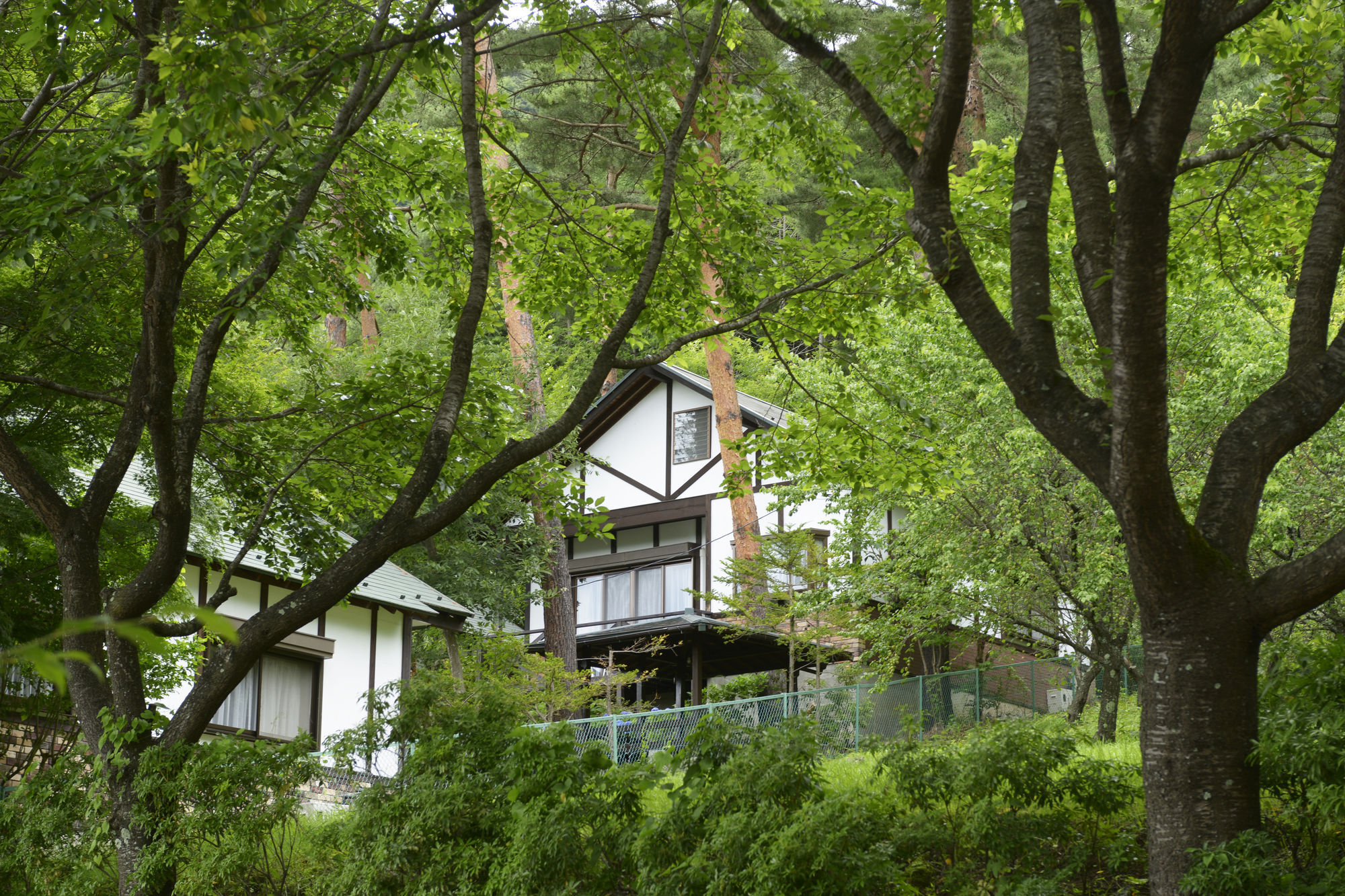 Kawaguchiko Country Cottage Ban Fujikawaguchiko Luaran gambar