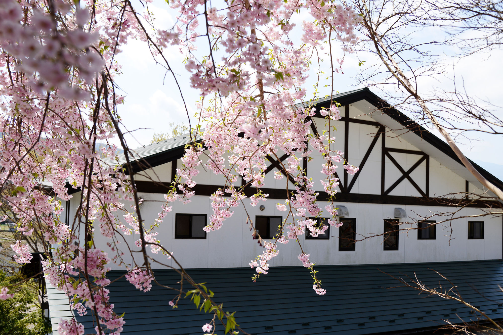 Kawaguchiko Country Cottage Ban Fujikawaguchiko Luaran gambar